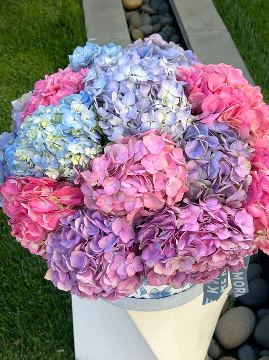 «HYDRANGEA LOVE» basket